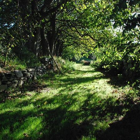 The Long Barn Διαμέρισμα Skibbereen Εξωτερικό φωτογραφία