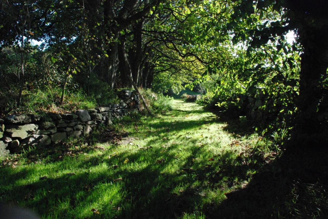 The Long Barn Διαμέρισμα Skibbereen Εξωτερικό φωτογραφία